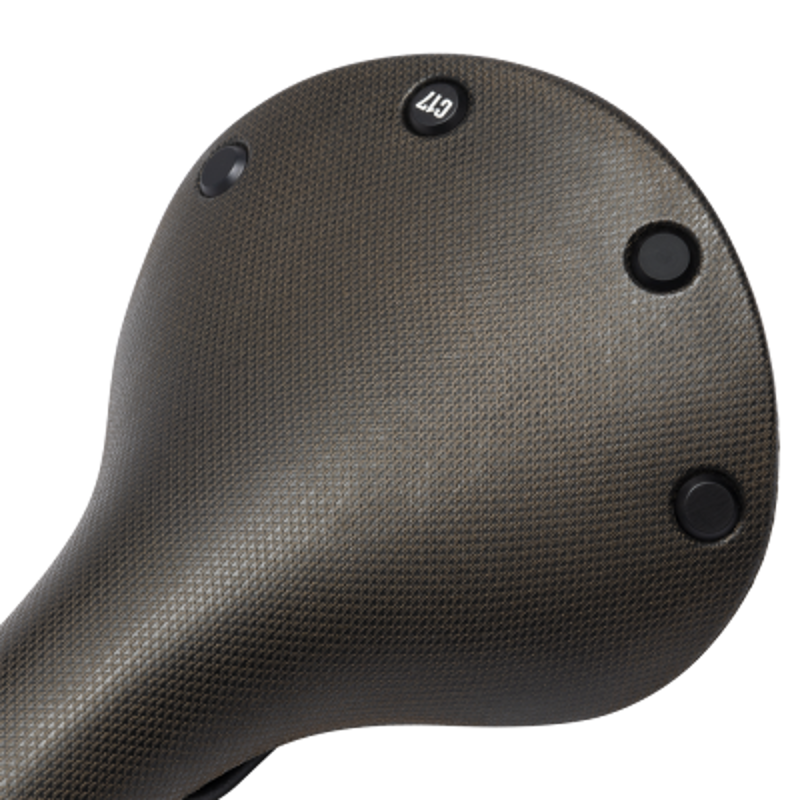 Brooks C17 Cambium All- Weather Brown 162mm steel-4