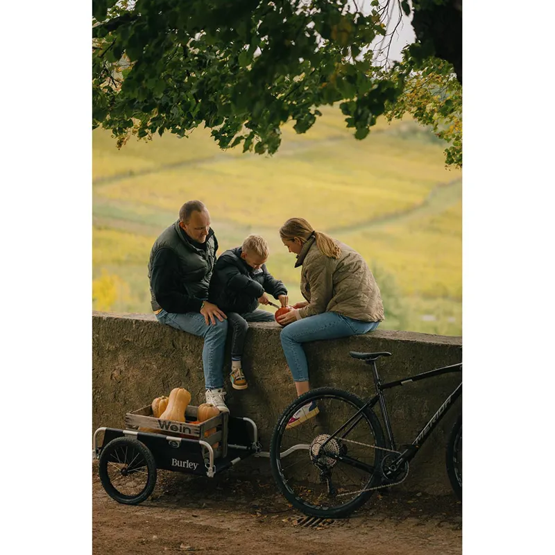 Flatbed Cargo Bike Trailer-7