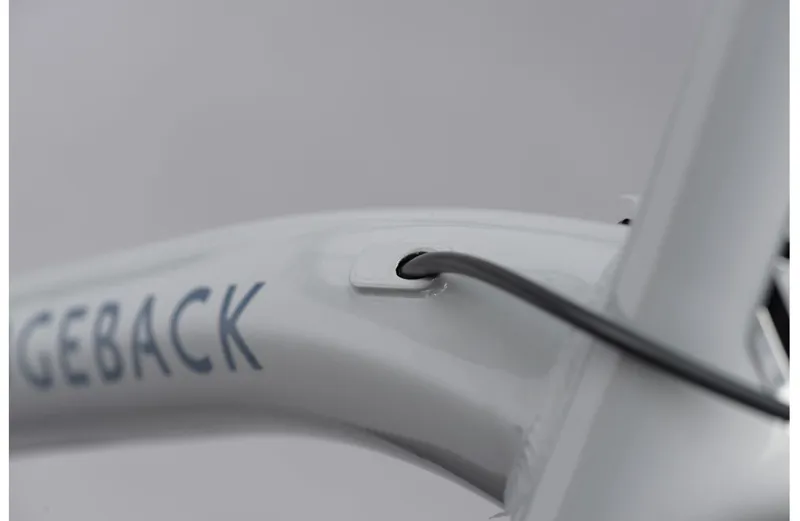 2021 Ridgeback Element EQ Hybrid Bike in Silver-2