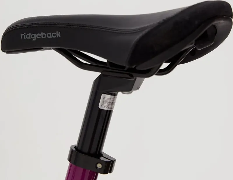 Ridgeback Harmony Kids Bike in Purple-6