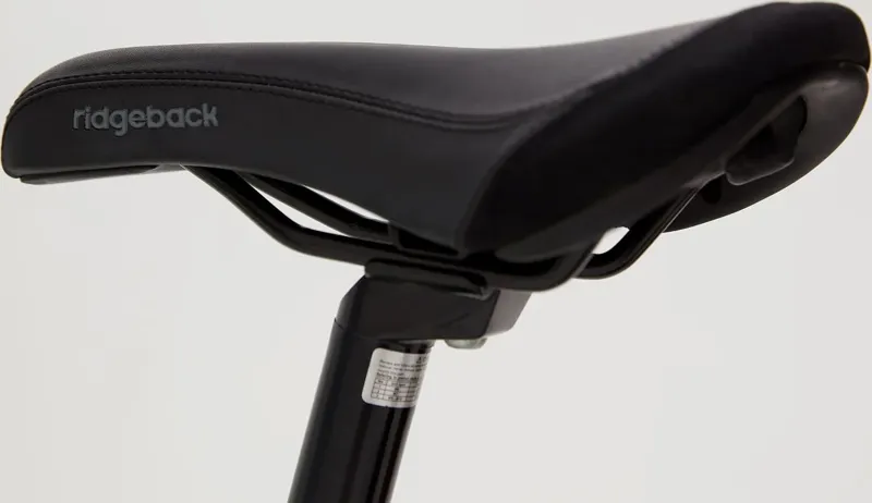 Ridgeback Harmony Kids Bike in Green-6