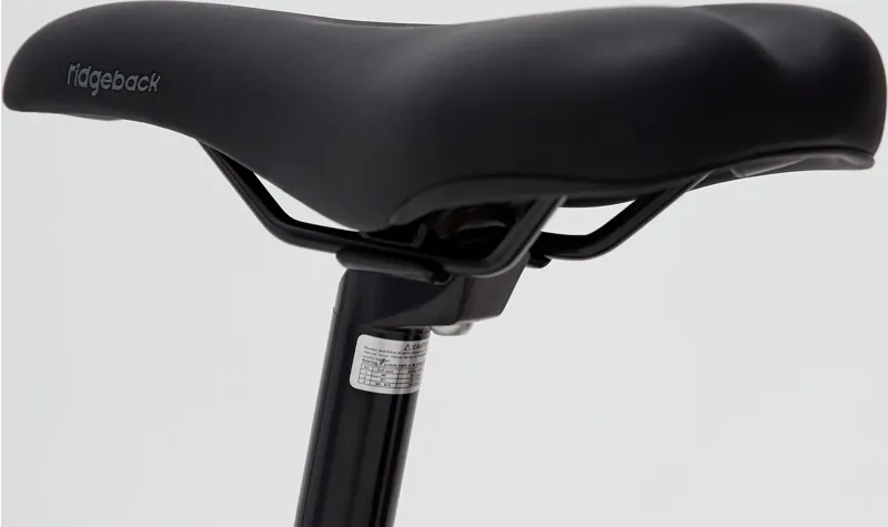 Ridgeback Destiny 24in Kids Bike in Silver-6