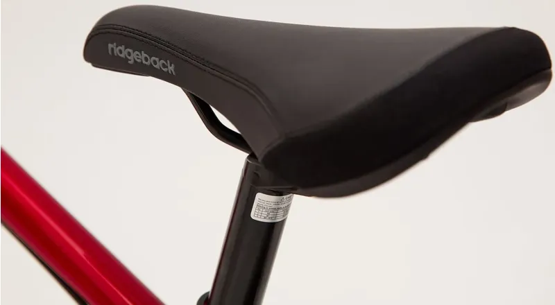 Ridgeback Dimension 20 Kids Bike in Red-6