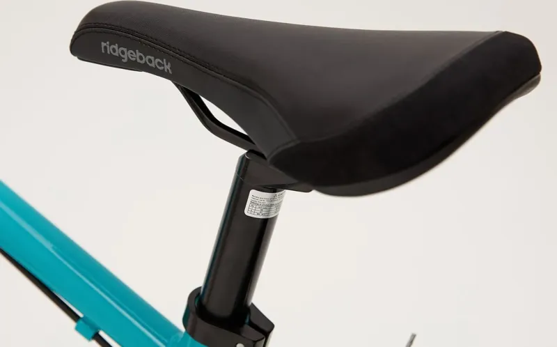 Ridgeback Dimension 20 Kids Bike in Teal-5