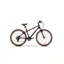 Raleigh Pop 24 Black