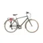 2020 Raleigh Pioneer Grand Tour Hybrid Bike in Green