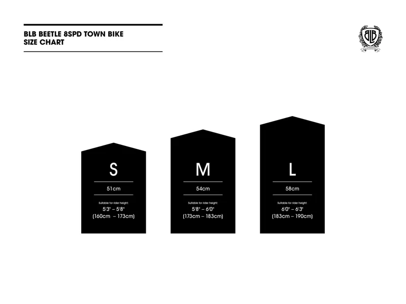 BLB Beetle 8spd Town bike In Chrome-9