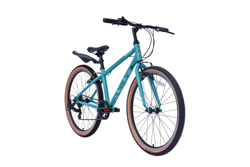 Raleigh Pop 24 in Blue-1