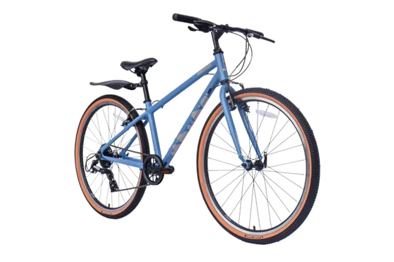 Raleigh Pop 26 In Blue-1