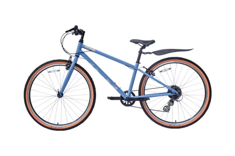 Raleigh Pop 26 In Blue-2