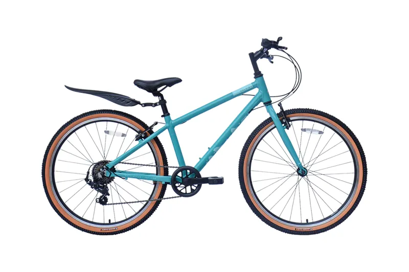 Raleigh Pop 24 in Blue