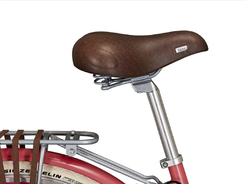 Raleigh Willow Women's Bike in Pink-5