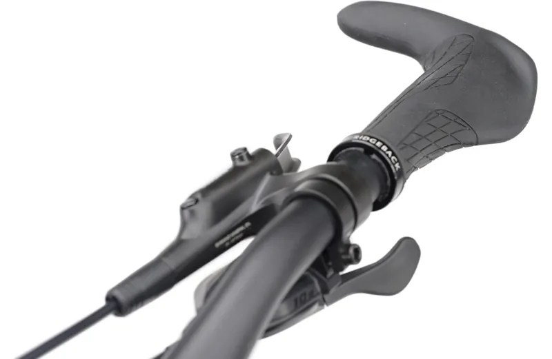 Ridgeback Voyage Open Frame-9
