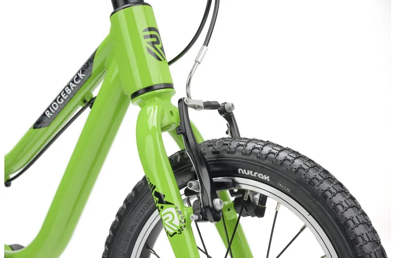 Ridgeback MX14 Kracking Kiwi -3