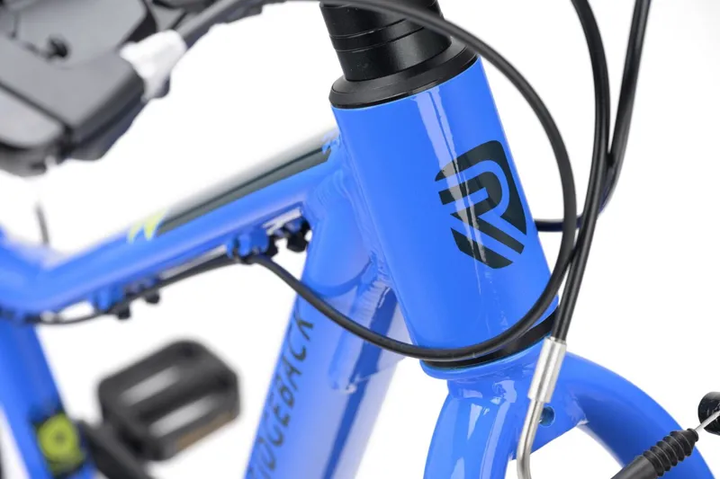 Ridgeback MX20 Kids Bike in Big Blue -2