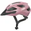 ABUS Macator Helmet In Rose