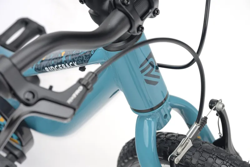 Ridgeback MX14 Turbo Teal-5