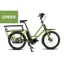 Veloe Multi E-Cargo - Shimano EP6 Nexus 5E Carbon Drive GREEN