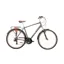 2020 Raleigh Pioneer Trail Crossbar 27.5 Hybrid Bike in Green