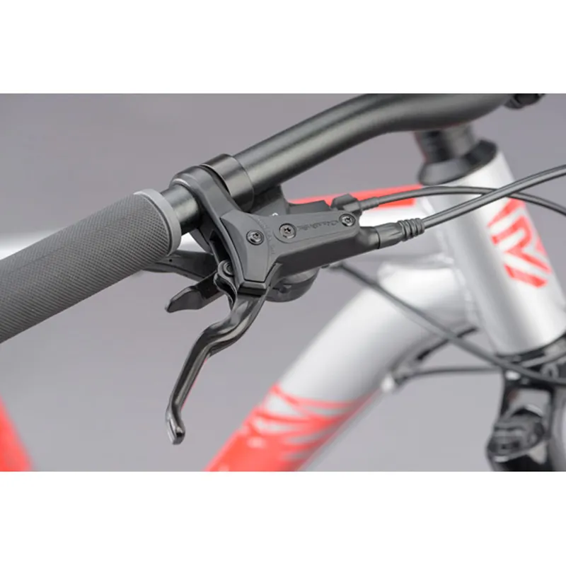 Ridgeback Terrain 4-3