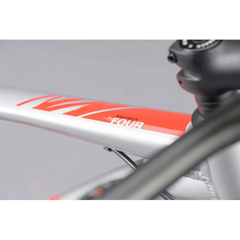 Ridgeback Terrain 4-11