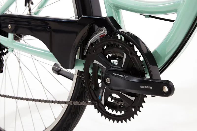 Ridgeback Avenida 21-2