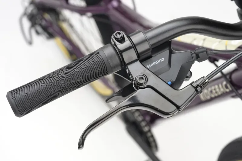 Ridgeback Dimension 24 Kids Bike in Vanquish Violet-3