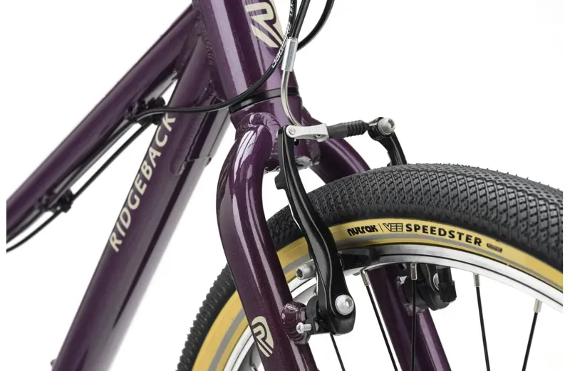 Ridgeback Dimension 24 Kids Bike in Vanquish Violet-4